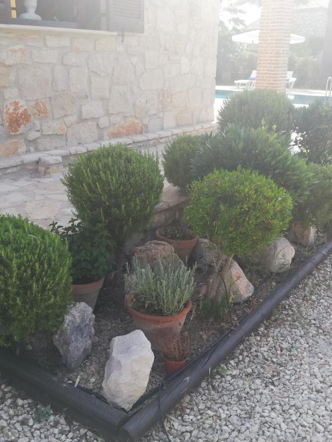 Karissa - Zante Apartment